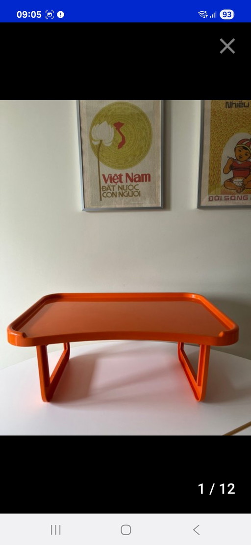 Kartell Tray