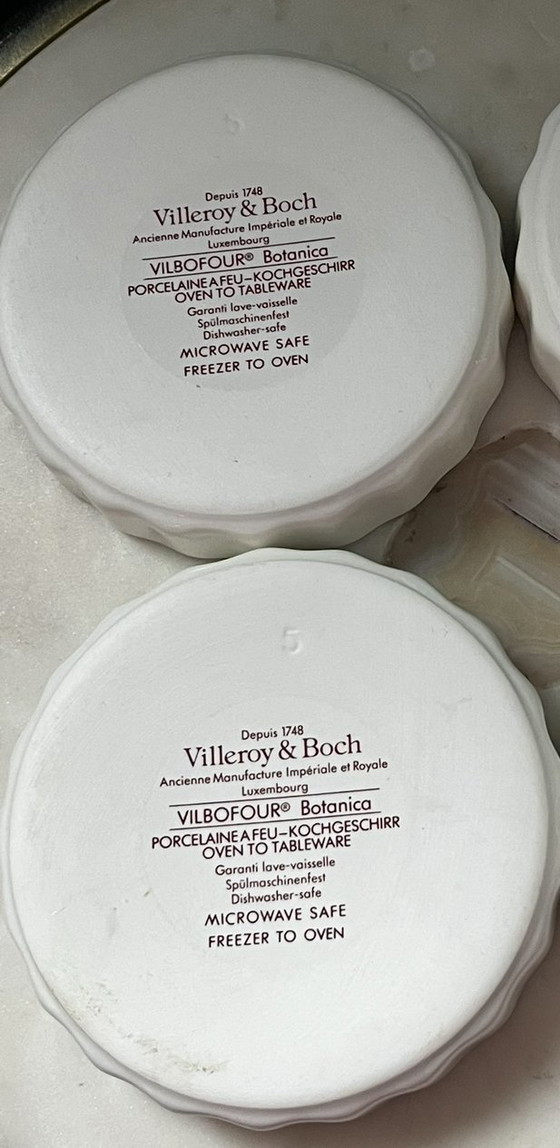 Image 1 of Juego (6) cuencos Villeroy & Boch Vilbofour Botanica