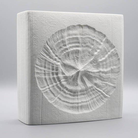 Image 1 of Martin Freyer Rosenthal Studio Line Bisque Porcelain Vintage H 24 cm Fossil Vase