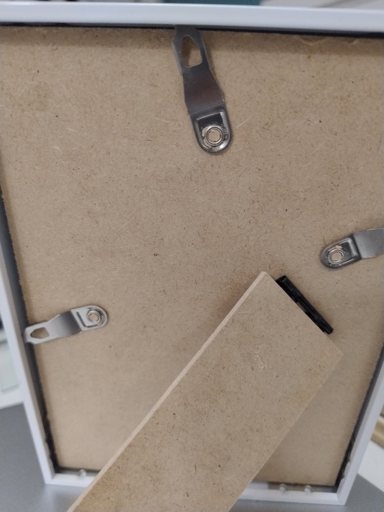 Image 1 of Runner duck "Wiesje"