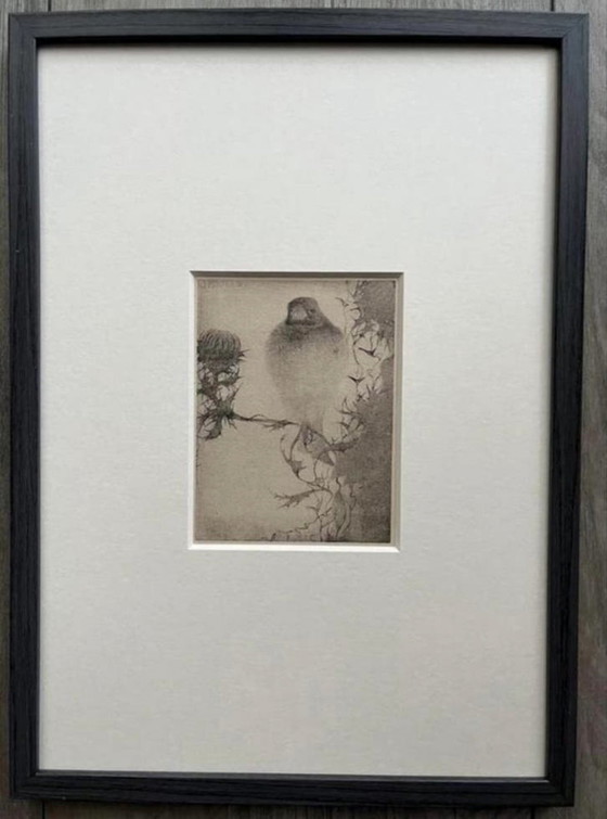 Image 1 of Jan Mankes 1889-1920 / Heliograbado original Jilguero en rama 1923