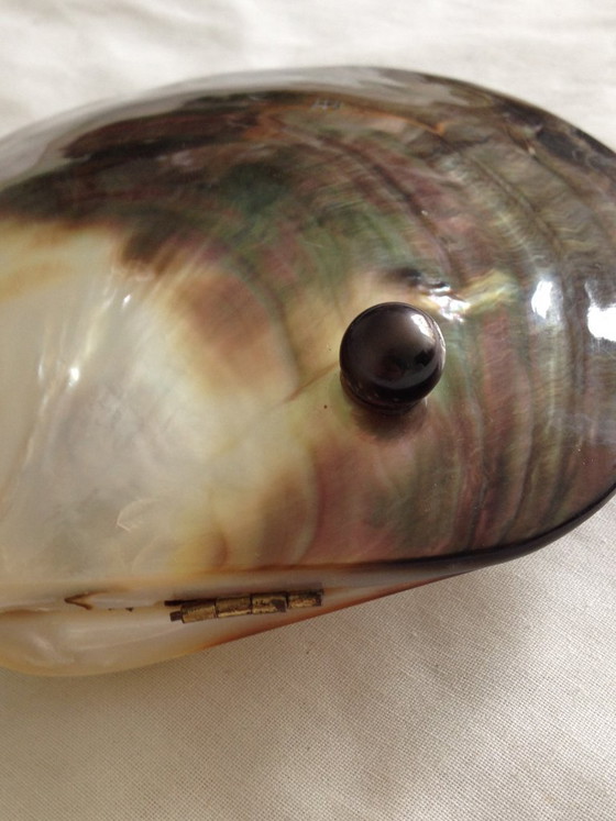 Image 1 of Doosje van parelmoer, gegraveerd met een tropisch tafereel.
