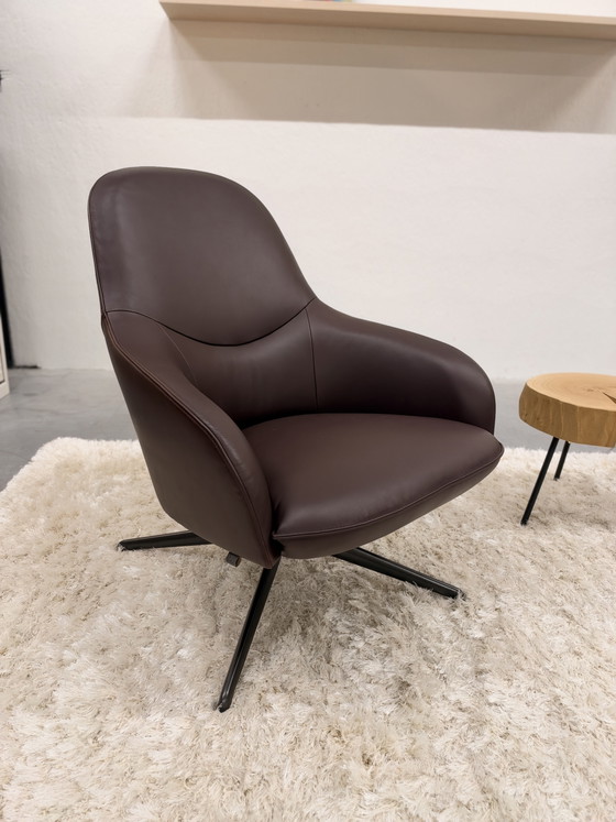 Leolux Lanah Swivel Armchair Noli leather, Brown (photo 3 of 8)