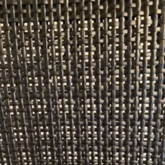 Image 1 of Maxalto Xilos eettafel - Ø160 met eetkamerstoel (set van 4)