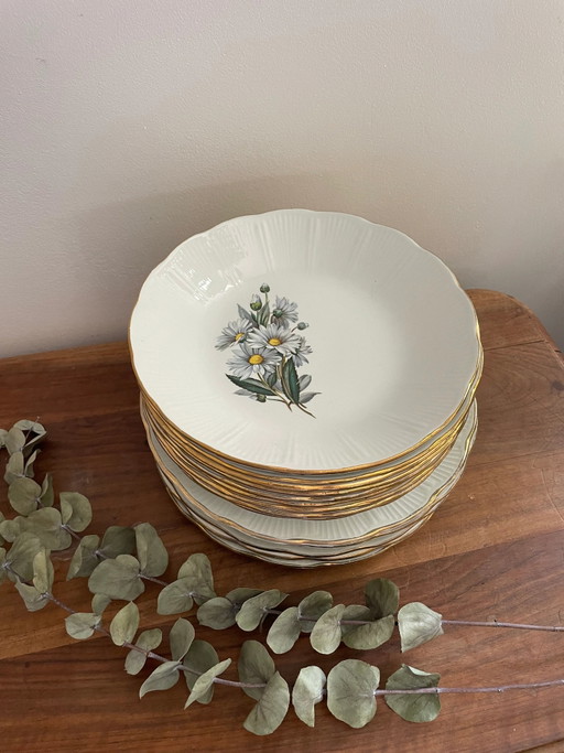 L'Amandinoise Flat and Deep Plate Set