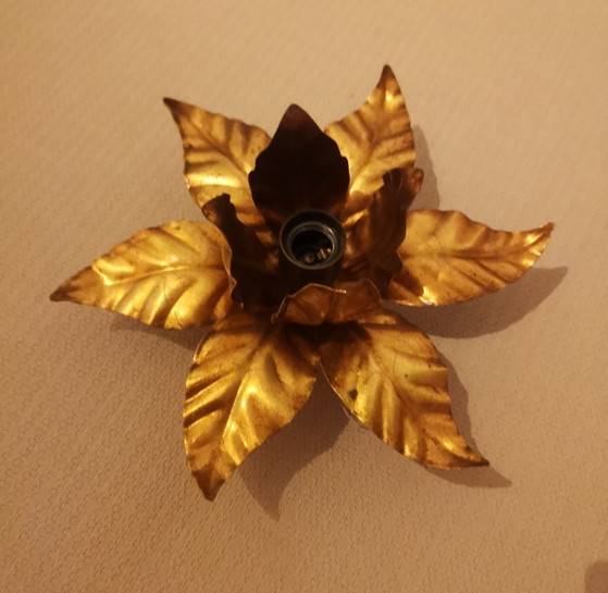 Golden Floral Mid Century Wall light by Hans Kögl – Metal (photo 10 of 12)