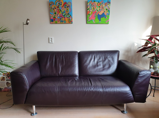 Rolf Benz Ledersofa und Couchtisch