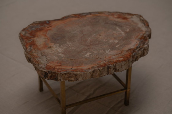 Image 1 of Table basse rare en bois pétrifié - années 1970