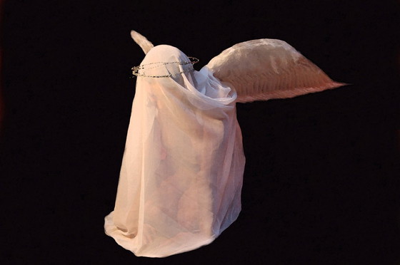 Image 1 of "Visioenen van de auteur" De noir-elegantie van Vincenzo Marega (11)