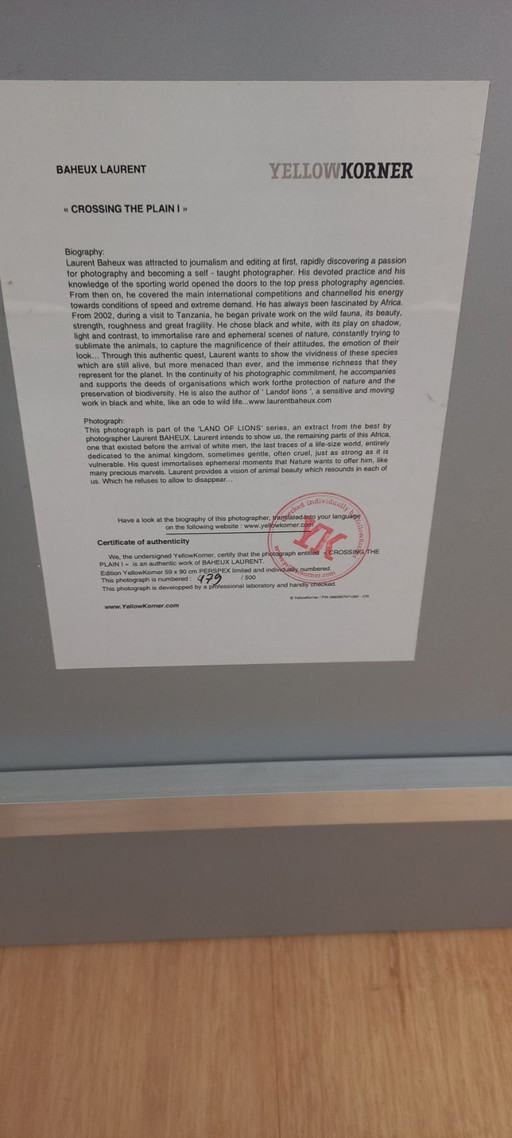 foto acrilica Laurent Baheux attraversa la pianura