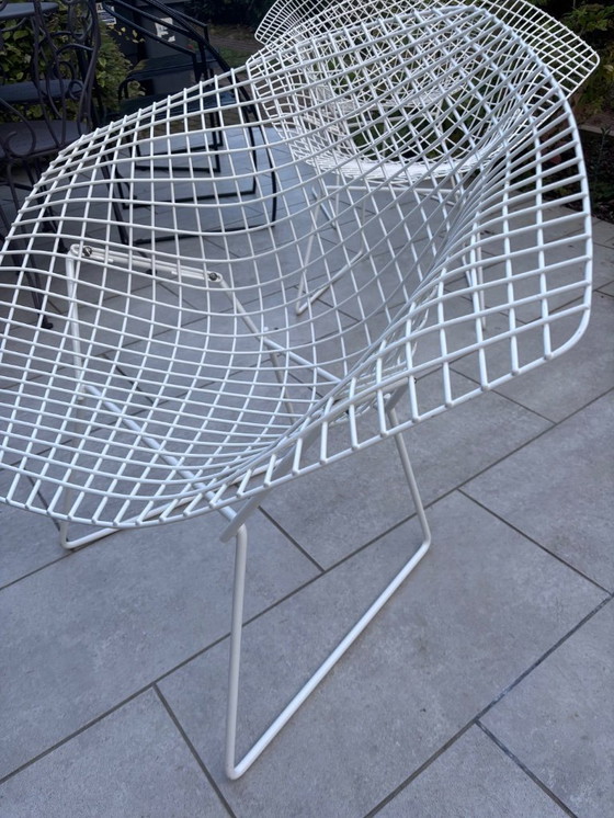 Image 1 of Bertoia Diamond Knoll vintage white armchairs - iconic design