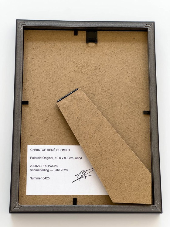 vlinder – Fotografie, Glass, Paper (photo 5 of 5)