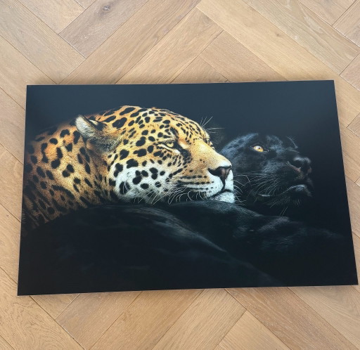 YellowKorner – Pedro Jarque Krebs – Ebony and Ivory – 377/500 – 90x60