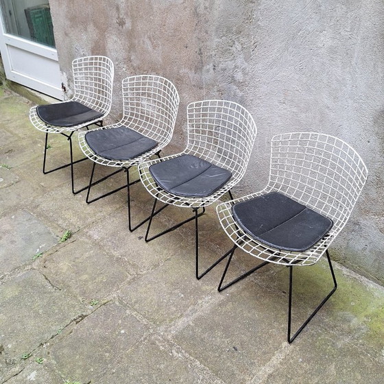 Image 1 of Set van 4 draadstoelen van Harry Bertoia, jaren 60.