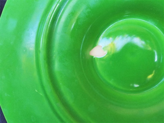 Image 1 of Set of 4 Vintage French Green Oyster Plates | Majolica Style Ceramic Seafood Serving Plates