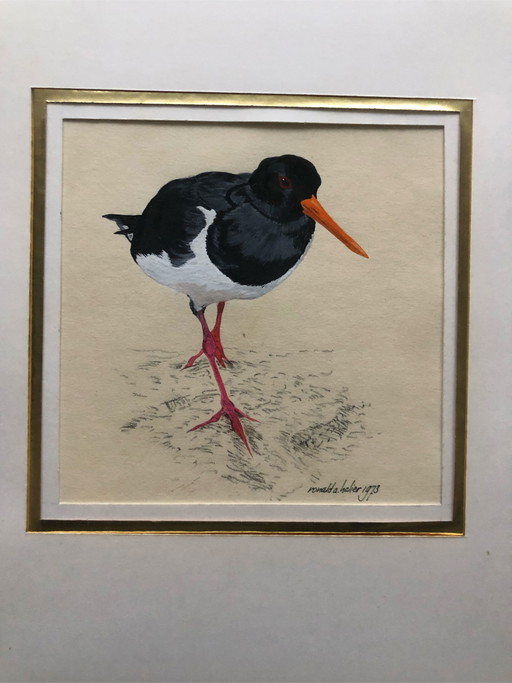 2x Ronald Halier birds