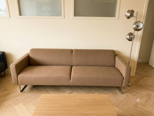 Artifort Mare | 3-Sitzer-Sofa | Braun, aufgearbeitet