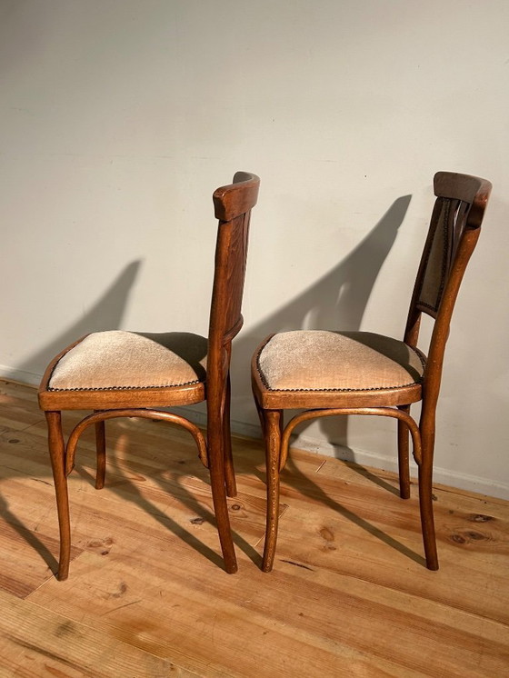 Image 1 of Conjunto de salón Josef & Jacob Kohn Art Nouveau Viena