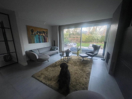 Image 1 of Selce Leolux. Grigio/marrone