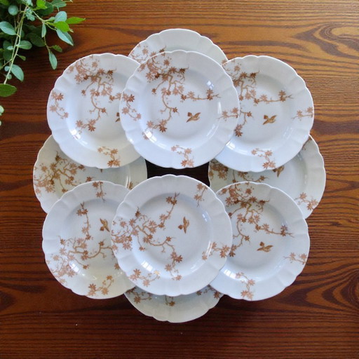 Piatti antichi in porcellana Limoges Haviland, decorati con uccelli