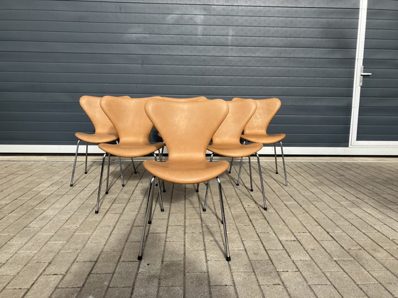 Image 1 of Sedie Butterfly serie 7 di Fritz Hansen in pelle Camel NUOVE!!