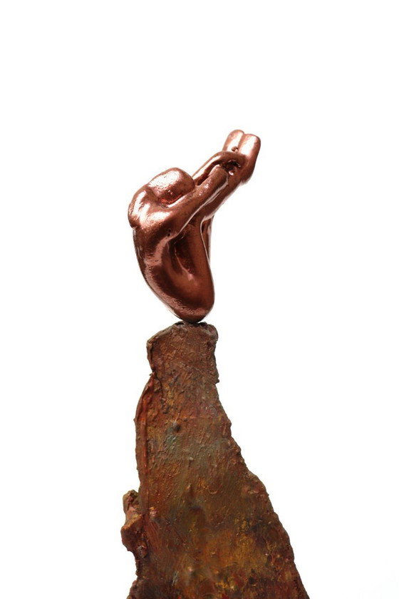 Image 1 of Rééquilibrage de la nature