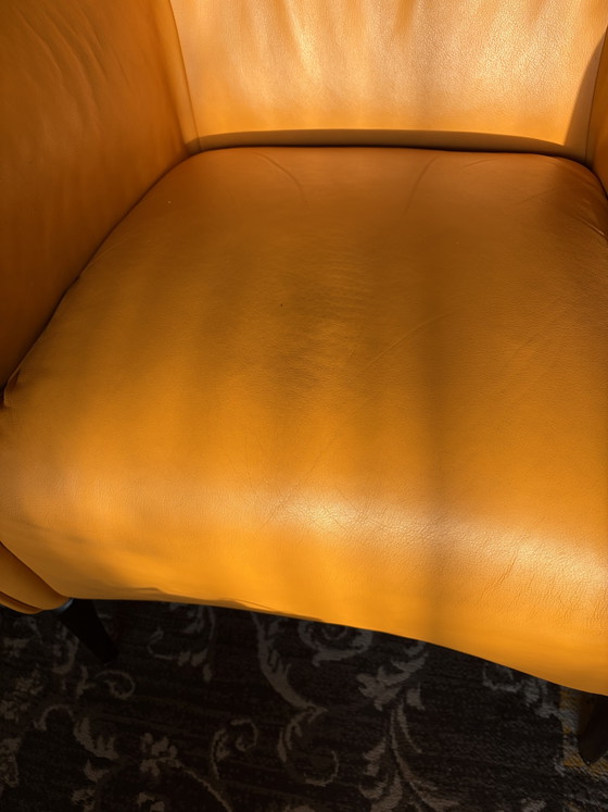 Leolux Mayuro 2x – Armchairs, Leather, Metal (photo 6 of 6)