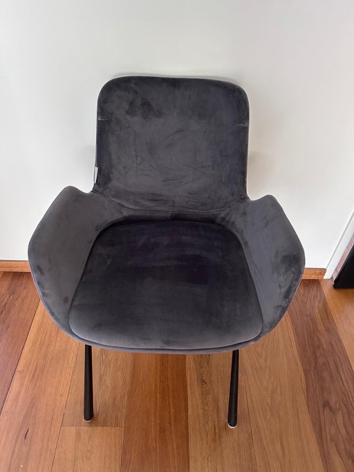 Zuiver Armchair Grey (British) 2 X – fauteuils, Metal, Velvet