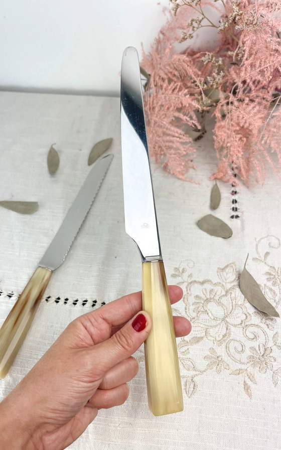 2 coltelli vintage NOGENT in bachelite – Accessori da tavola (photo 10 of 10)