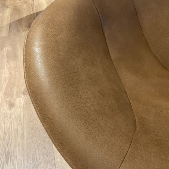 Image 1 of Label Hide Sessel