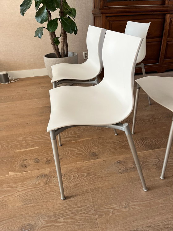 Image 1 of 4 chaises Driade Cameleon - Design Philippe Starck
