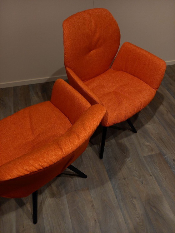 Image 1 of Enset Mood 99 S/2