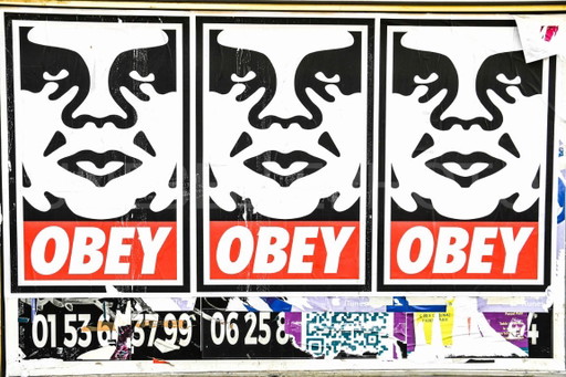 Foto impresa / serie limitada / Obey / Póster de París / Street art