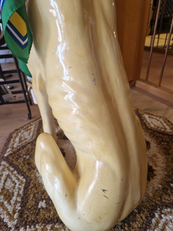Image 1 of Bassano Greyhound