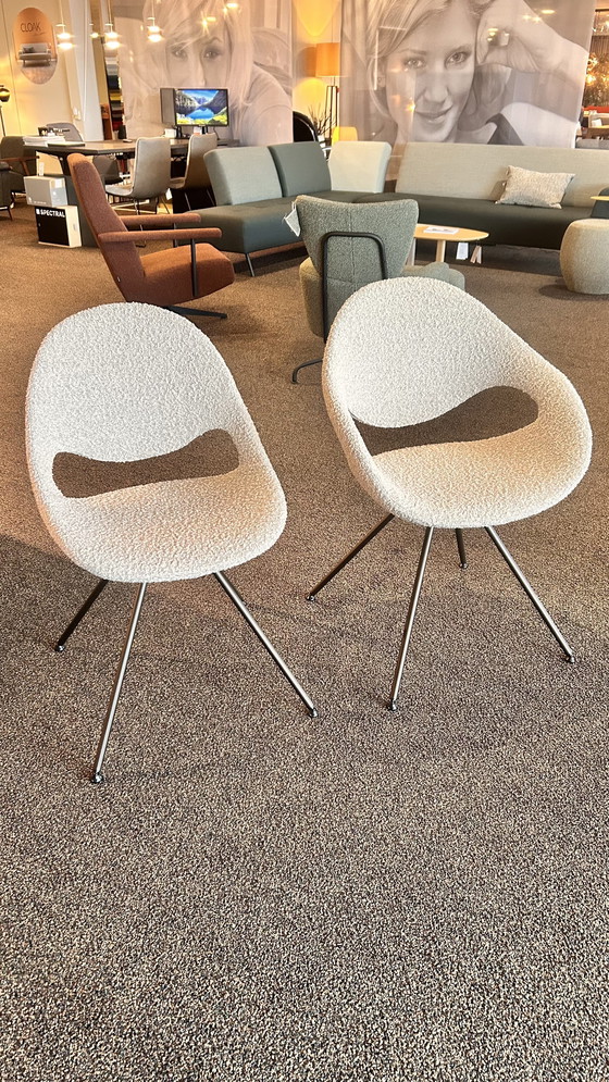 Image 1 of Chaises de salle à manger Tonon modèle Moon