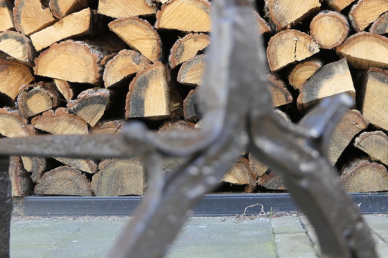 Image 1 of Paire de grands fers à repasser ou boules à feu en fer forgé (Andier)