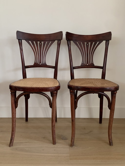 Variante Thonet 221 Stühle