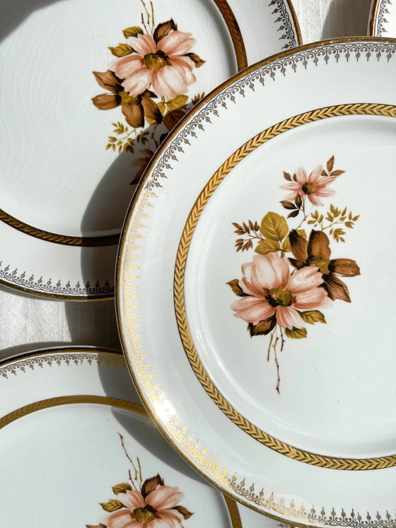 5 Pequeños Platos de Porcelana OLYMPIA con Patrón Floral y Borde Dorado – Loza, Porcelain, Gold, Vintage (photo 5 of 9)