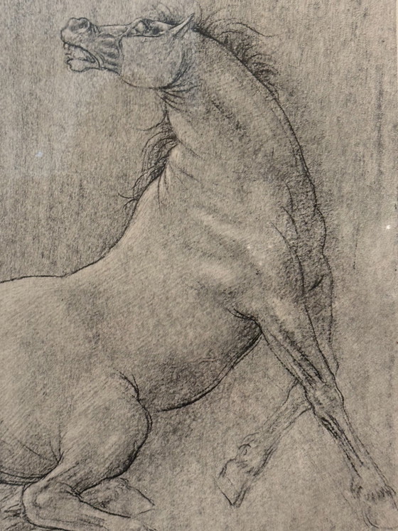 Francesco Messina Horse Lithograph, 1960s – Paintings & Drawings, Paper, Figuratief (photo 8 of 9)