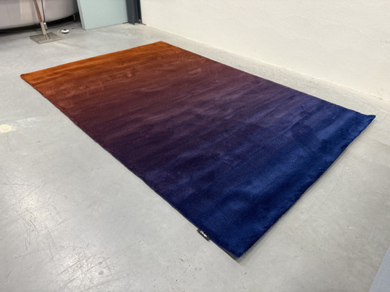 Image 1 of Tappeto Segni Tappeti Cameleon 210x320