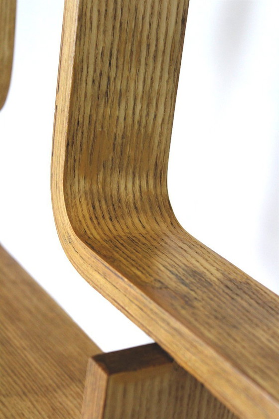 Image 1 of Mid-Century Modern Room Divider by Ludvik Volak for Drevopodnik Holesov, 1960s