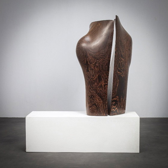 Image 1 of Esculturas de madera orgánica respirando de Ineke van Zuuren, años 70