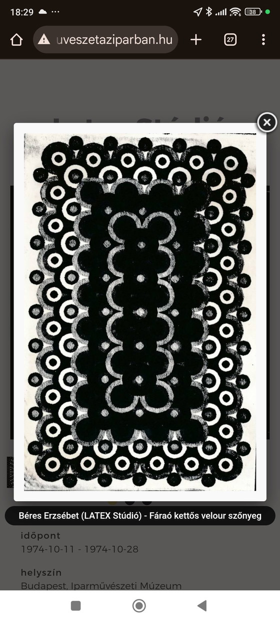 Image 1 of Tappeto vintage "NÍLUS" - Un classico del design ungherese