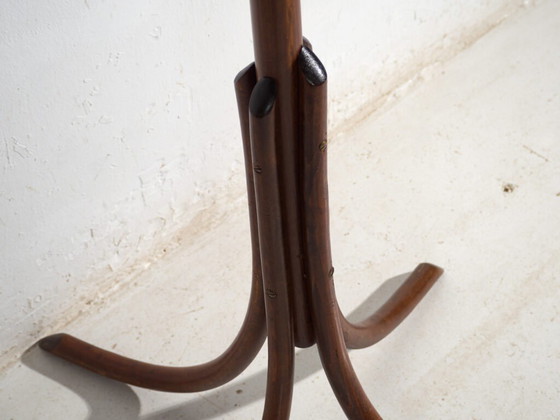 Bentwood Coat Stand in Beechwood – Austria-Hungary, Thonet Style, Circa 1900 – Coat racks, Metal (photo 17 of 36)