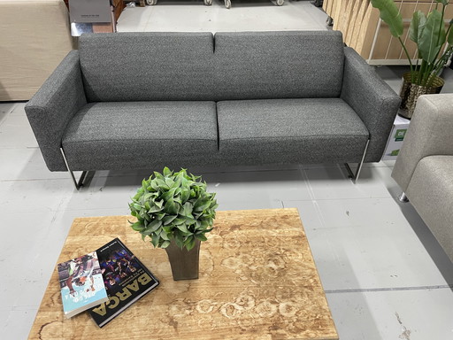 Artifort Sofa Mare