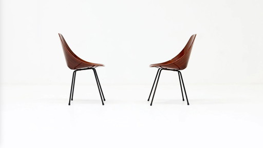 Medea-Stühle von Vittorio Nobili für Tagliabue, 1950er Jahre