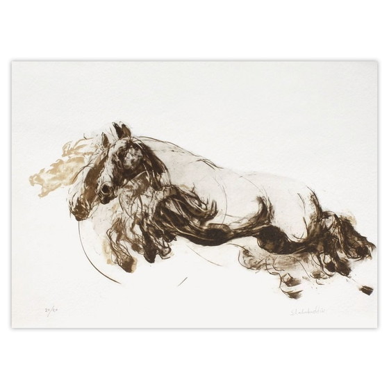 Gesigneerde lithografie van Ahmed Shahabuddin, Galop II 2005 – Litho's & Zeefdrukken, Paper (photo 4 of 5)