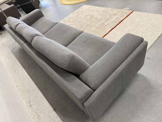 Image 1 of Leolux Bellice Sofa Prairie fabric 296