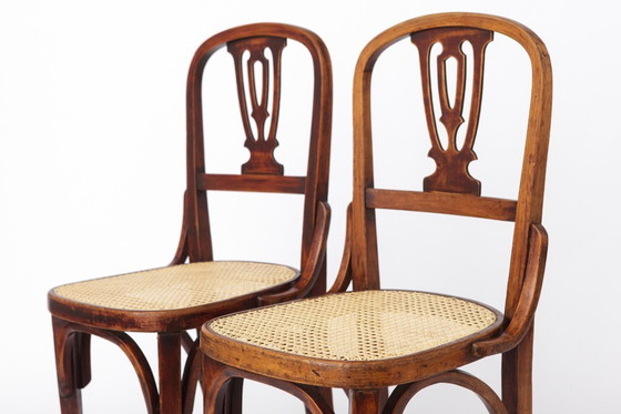 Image 1 of Set of 2 Vintage Bentwood Dining Chairs | Austria 1930s–50s | Beechwood, New Woven Cane Seats