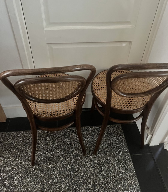 Image 1 of Juego de sillas de comedor Thonet Radomsko
